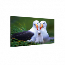 DH-PHSA1.6-SH Dahua Светодиодный экран Fine Pixel